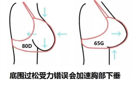 內(nèi)衣設(shè)計研發(fā)